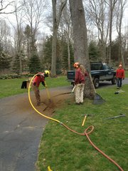 Top Rated Tree Care Services